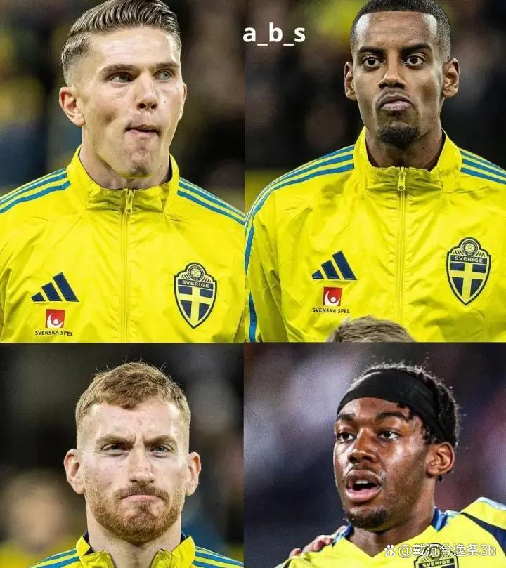 熊猫tv-瑞典比赛视频 第2张 熊猫tv-瑞典比赛视频 第2张